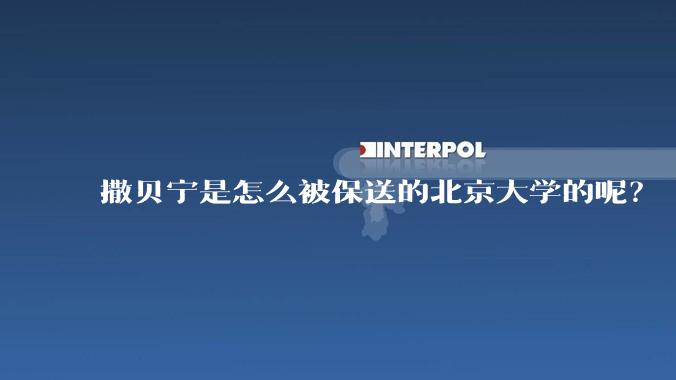 撒贝宁是怎么被保送的北京大学的呢？