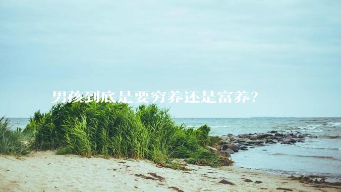 男孩到底是要穷养还是富养？