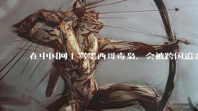在中国网上骂墨西哥毒枭，会被跨国追杀吗？