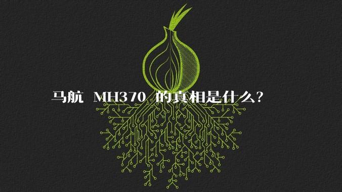 马航 MH370 的真相是什么？